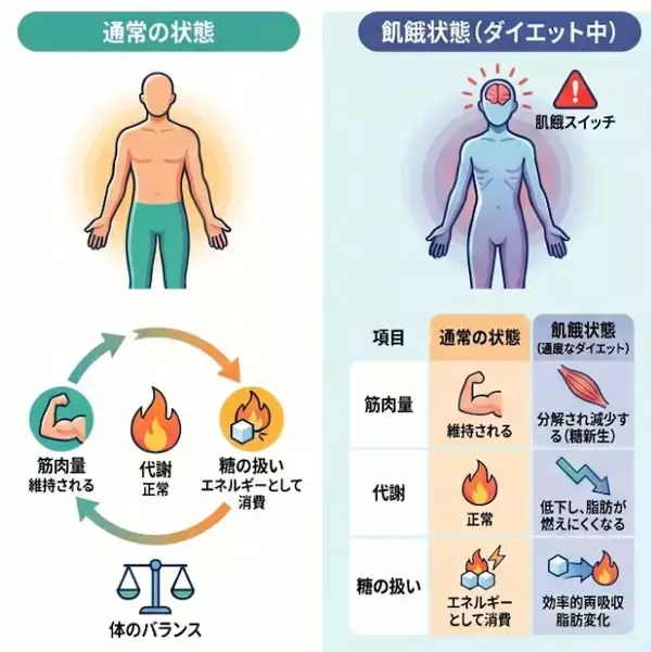 「ダイエットを頑張るほど太りやすい体に!? 糖質制限ダイエットで痩せても「リバウンド不可避」になる理由」の画像