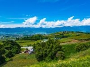 長期休みに行きたいと思う「山梨県の旅行先」ランキング！ 同率2位「甲州市勝沼 ぶどうの丘」「富士五湖」を抑えた1位は？【2026年調査】