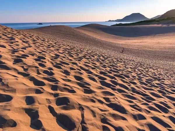 62歳女性が語るシニア旅「もう少し年を取っていたら、歩けなかった」夫婦で鳥取砂丘2泊7万円