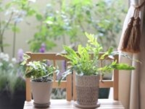 「貧乏体質な人」の部屋の特徴とは？脱・貧乏体質のヒント