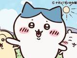 「【ちいかわ】「恋人に振られたときにお酒を飲みたい」キャラクターランキング！ 2位「ハチワレ」、1位は？」の画像1