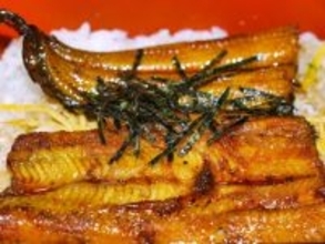 旅先で食べたい「高知県のご当地グルメ」ランキング！ 2位「四万十うなぎ」を抑えた1位は？ 【2025年調査】