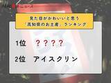 「見た目がかわいいと思う「高知県のお土産」ランキング！ 2位「アイスクリン」を抑えた1位は？【2026年調査】」の画像1