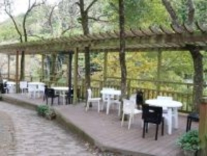 特産品が楽しめると思う「愛媛県の道の駅」ランキング！ 2位「内子フレッシュパークからり」、1位は？ 【2025年調査】