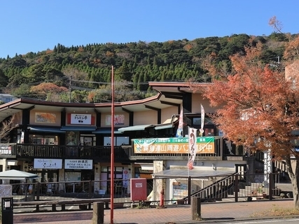 【鹿児島県】「ワイルドな温泉……」自然に癒される「霧島温泉郷」の魅力とは？ “素朴な料理”に高評価