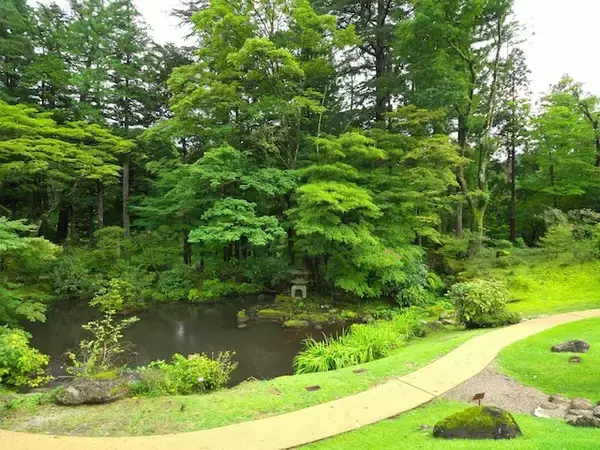 「幻想的な夜桜を楽しめる」春に行きたい“栃木県の公園”ランキング！ 2位「日光田母沢御用邸記念公園」を抑えた1位は？【2026年調査】