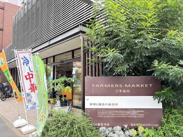 【東京都】サラダブッフェ併設の大型直売所から青山の週末市まで！ ファーマーズマーケット3選