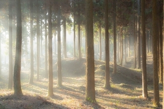 一人暮らしの人が「老後のお金」を準備する場合の鉄則3つ