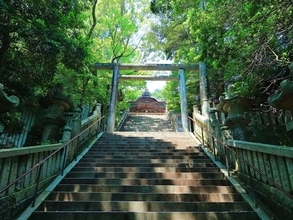 「1368段の階段は達成感があった」3泊の宿泊費1人6万円、68歳男性の四国4県シニア旅
