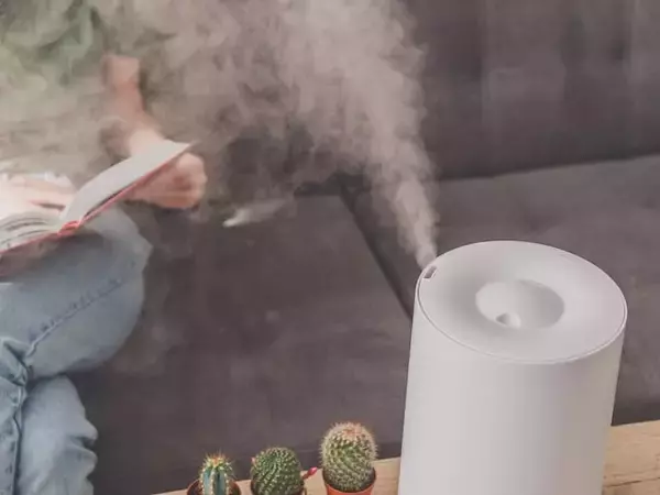 Q. 「加湿器はレジオネラ菌のリスクがあり危険」って本当？【医師が解説】