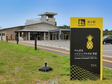 お土産が充実していると思う「沖縄県の道の駅」ランキング！ 2位「やんばるパイナップルの丘 安波」、1位は？【2025年調査】