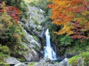 長期休みに行きたい「佐賀県の穴場秘境」ランキング！ 同率1位「見帰りの滝」を含む注目の1位は？【2025年調査】