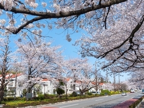 東京郊外で「治安がいいと思う市」ランキング！ 2位「国立市」、1位は？【専門家の解説も】