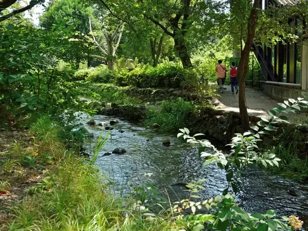 「東京郊外で「治安がいいと思う市」ランキング！ 2位「国立市」、1位は？【専門家の解説も】」の画像