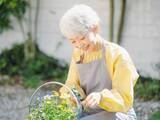 「老後資金200万円「お金はないが野菜やお花を育てのんびり自然に触れるのが癒やし」65歳の年金生活」の画像1