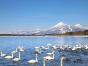 一生に一度は行きたいと思う「福島県の絶景スポット」ランキング！ 2位「猪苗代湖」を抑えた1位は？ 【2025年調査】