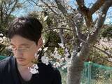 「「神がかっていてしんどい」坂口健太郎、桜の下での“短髪ヒゲ眼鏡”姿に「とってもセクシー」「色気ダダ漏れ」」の画像1