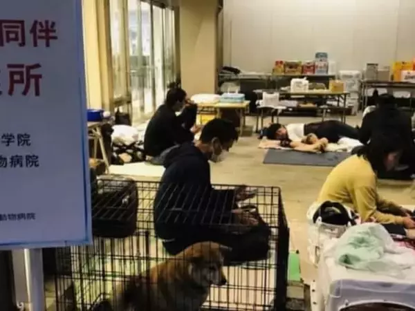 杉本彩、熊本地震に思いを寄せる。動物病院への犬や猫の避難も報告「これ以上被害が広がらないことを」