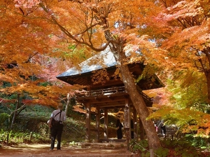 山口県の市で「治安がいい」と思う市ランキング！ 2位「山口市」を抑えた1位は？ 【2025年調査】