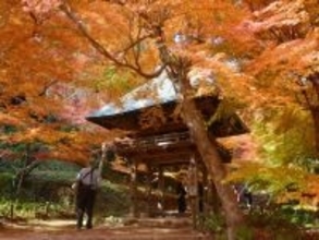 山口県の市で「治安がいい」と思う市ランキング！ 2位「山口市」を抑えた1位は？ 【2025年調査】