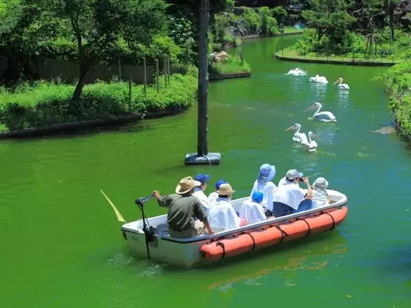 47歳主婦が10年以上保有「旅行で使えるだけでなく利回りもいい」買ってよかった優待銘柄