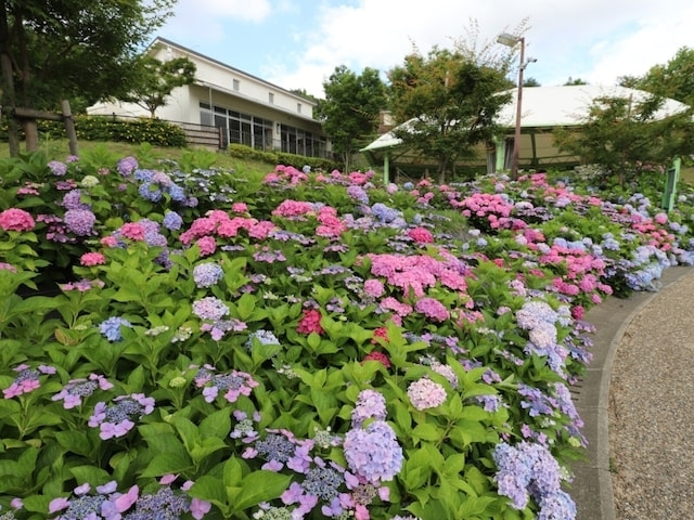 子連れで行きたいと思う「大阪府の道の駅」ランキング！ 2位「しらとりの郷・羽曳野」を抑えた1位は？ 【2025年調査】