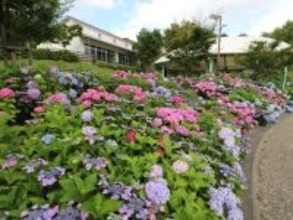 子連れで行きたいと思う「大阪府の道の駅」ランキング！ 2位「しらとりの郷・羽曳野」を抑えた1位は？ 【2025年調査】