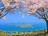 「「必見の場所」香川県の“行ってみたい＆好きな桜の名所”TOP11！ 1位に称賛の声続々【2026年調査】」の画像1