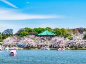 「食べ歩きをしながら……」東京都の“行ってみたい＆好きな桜の名所”10選！ 最多票を獲得したのは？【2026年調査】