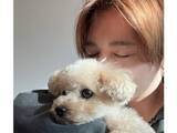 「「アイドルを愛でるアイドル最高」山田涼介、愛犬とのツーショットに「完璧なファンサ」「可愛いが充満」」の画像1