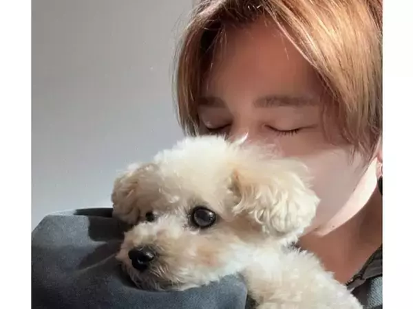 「アイドルを愛でるアイドル最高」山田涼介、愛犬とのツーショットに「完璧なファンサ」「可愛いが充満」
