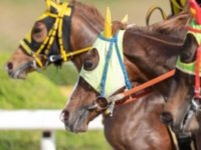 馬との距離が近く感じられる「競馬場（地方競馬）」ランキング！「佐賀」「笠松」「門別」を抑えた1位は？【2025調査】