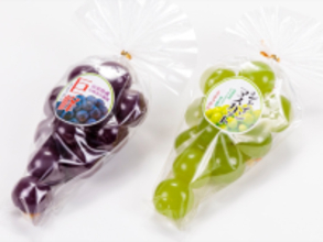 帰省時の手土産にしたい「山梨県のお土産」ランキング！ 2位「玉ようかん」、1位は？【2025年調査】