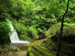 「クジラ料理の種類がたくさん」グルメが魅力的な“和歌山県の道の駅”ランキング1位に反響！【2026年調査】