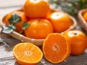 旅先で買いたい「和歌山県のお土産」ランキング！ 2位「てまりみかん」、1位は？ 【2025年調査】