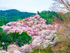 長期休暇に行きたいと思う「奈良県の温泉地」ランキング！ 2位「吉野温泉」、1位は？ 【2025年調査】