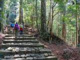 「春に行きたいと思う「和歌山県の旅行先」ランキング！ 2位「熊野古道」を抑えた1位は？【2026年調査】」の画像1