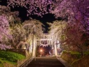 【山形県】複数の源泉を楽しめる「赤湯温泉」の魅力とは？ 千本桜やワイン、名物ラーメンを満喫