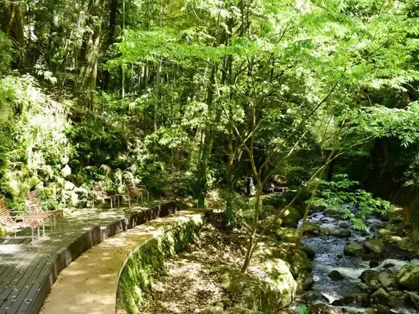 神奈川県で「外国人観光客におすすめしたい温泉地」ランキング！ 2位「湯河原温泉」、1位は？ 【2025年調査】