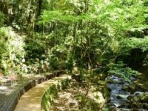 神奈川県で「外国人観光客におすすめしたい温泉地」ランキング！ 2位「湯河原温泉」、1位は？ 【2025年調査】