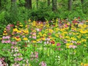 読むのが難しいと思う「長野県の自治体」ランキング！ 2位「喬木村」を抑えた1位は？【2026年調査】