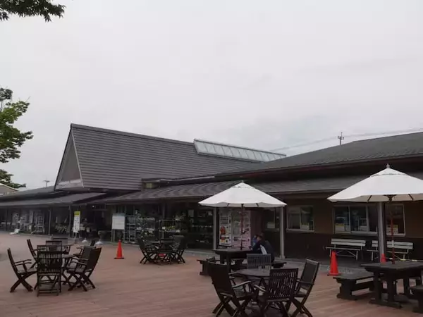 好き＆行ってみたい「福岡県の道の駅」ランキング！ 3位「おおとう桜街道」を抑えた同率1位は？【2026年調査】