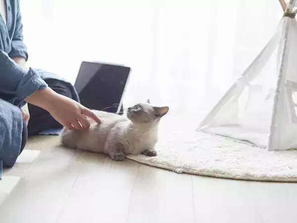 元営業が見た！ 1億円貯めた人が「古いスーツケース」を使い続ける理由