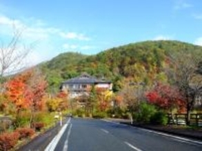 治安がいいと思う「岩手県の自治体」ランキング！ 2位「花巻市」を抑えた1位は？【2025年調査】