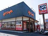 「「バカの考えた豪華な飯」“かつや史上、最も豪快な生姜焼き”に注目集まる！ 「はい、勝ち確定」」の画像1