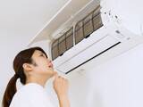 「Q. 「エアコンの隙間からゴキブリが家に侵入する」って本当でしょうか？ 効果的な対策法は？」の画像1