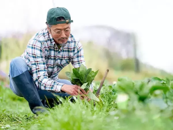 「田舎でも物価は2倍。最近はシニア割の恩恵も減った」預貯金8000万円・74歳男性の年金生活