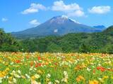 「春に行きたいと思う「鳥取県の旅行先」ランキング！ 2位「とっとり花回廊」を抑えた1位は？【2026年調査】」の画像1