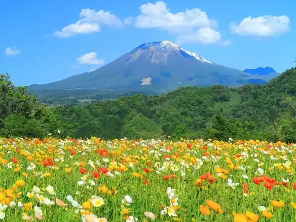 春に行きたいと思う「鳥取県の旅行先」ランキング！ 2位「とっとり花回廊」を抑えた1位は？【2026年調査】