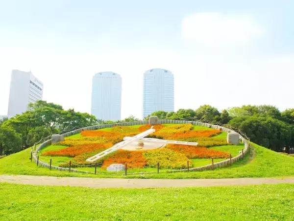 「間近で離着陸する飛行機の迫力」春に行きたい“千葉県の公園”ランキング1位がすごすぎる！【2026年調査】